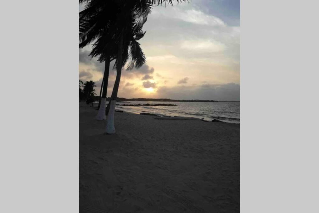 Playa Blanca Sanantero Cordoba Palmeras D'jc